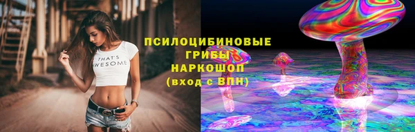 спиды Белокуриха