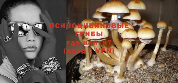 спиды Белокуриха