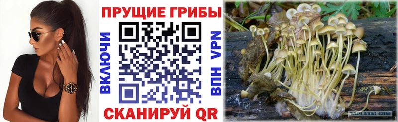магазин    Валуйки  МЕГА онион  Галлюциногенные грибы MAGIC MUSHROOMS 