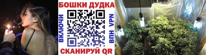 Конопля конопля  Валуйки 